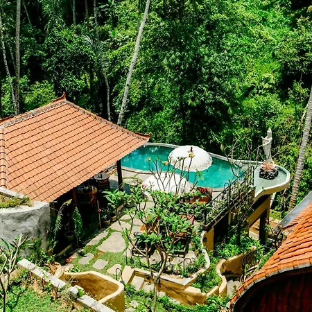 Jungle Lotus Villas